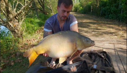 A 20 lb 3 oz carp from Lillybelle, Jason Ostler, Sep 2018