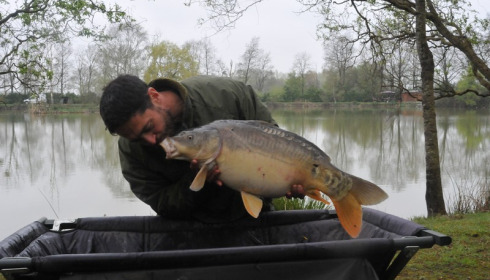 A carp from Lillybelle, Simmo, Apr 2017