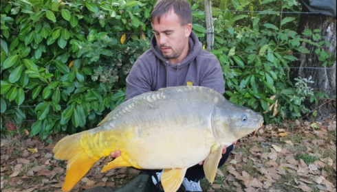 A 28 lb carp from Lillybelle, Jason Ostler, Sep 2018