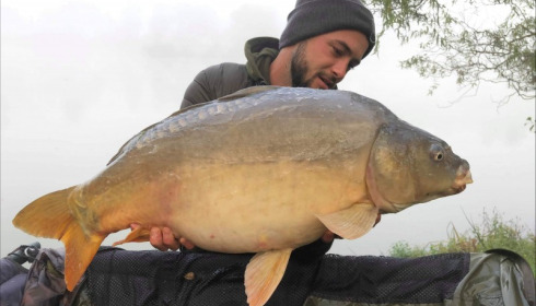 A 29 lb carp from Lillybelle, Cameron Jones, Oct 2019