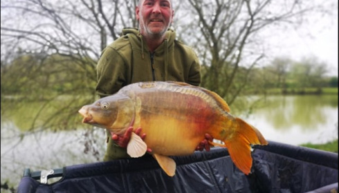 A 31 lb carp from Lillybelle, Malcolm Atkinson, Apr 2019