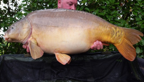 A 39 lb carp from Lillybelle, Wayne Hockley, Oct 2019