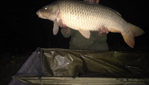 A 27 lb 10 oz carp from Lillybelle, Kevin Holbrook, Aug 2017