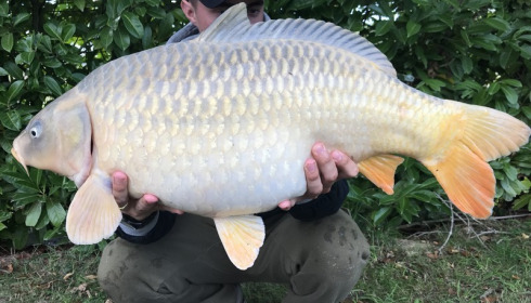 A 22 lb carp from Lillybelle, Owen Edwards, Sep 2017