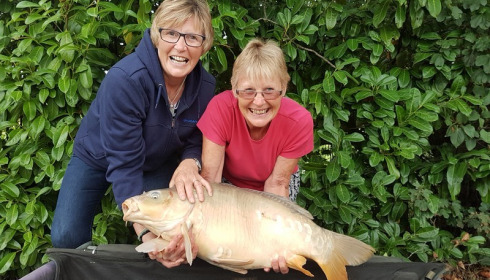 A 23 lb carp from Lillybelle, Liz Hackett, Aug 2017