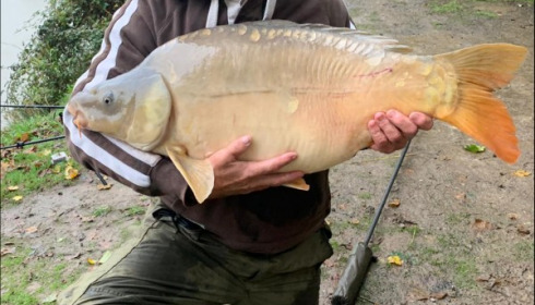 A 36 lb carp from Lillybelle, Paul Farrow, Oct 2019