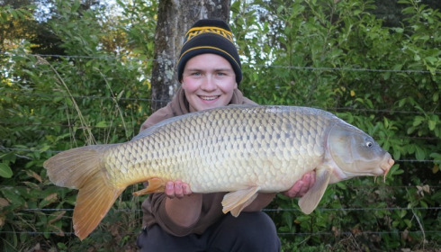 A carp from Lillybelle, Tom Peach, Oct 2016