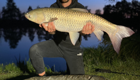 A grass carp from Lillybelle, Will Smith, May 2023
