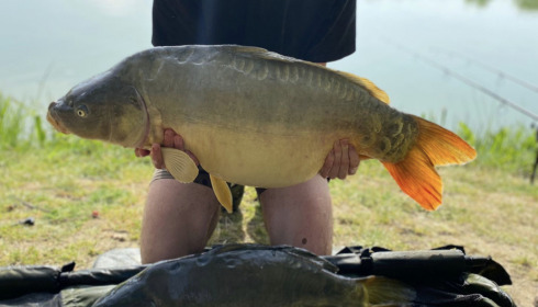 A 41 lb carp from Lillybelle, Sam Hepburn, May 2023