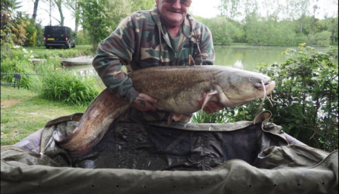 A 43 lb catfish from Lillybelle, Derrick Scott, May 2019