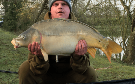 A 24 lb 5 oz carp from Lillybelle, Wayne Sharp, Apr 2016