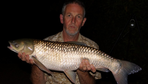 A grass carp from Lillybelle, Paul Bennett, Jul 2015