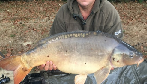 A carp from Lillybelle, Aug 2016