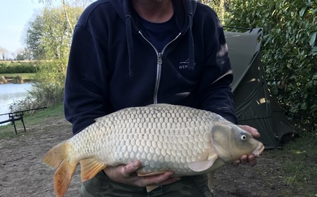 A 20 lb 3 oz carp from Lillybelle, Mark, Apr 2017