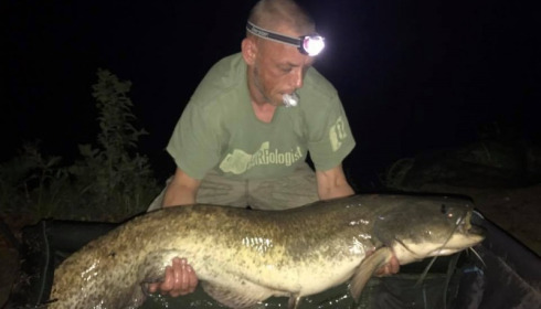 A 36 lb 8 oz catfish from Lillybelle, Damien Owen, Aug 2017