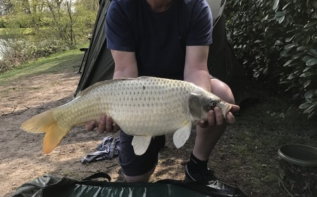 A carp from Lillybelle, Mark, Apr 2017