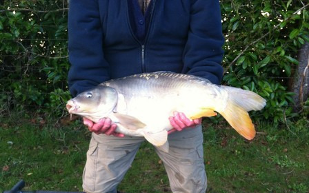A carp from Lillybelle, David Platts, Sep 2015