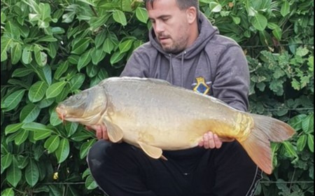 A 24 lb 7 oz carp from Lillybelle, Jason Ostler, Sep 2018
