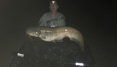 A 41 lb catfish from Lillybelle, Steve Bellis, Apr 2017