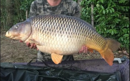 A 37 lb 2 oz carp from Lillybelle, Jack Easton, Sep 2018