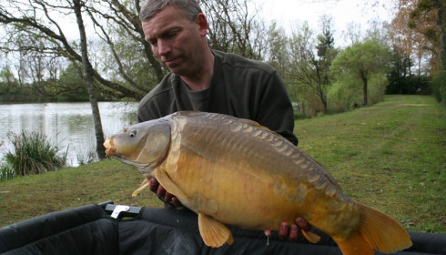 A carp from Lillybelle, Steve Woods, Apr 2016