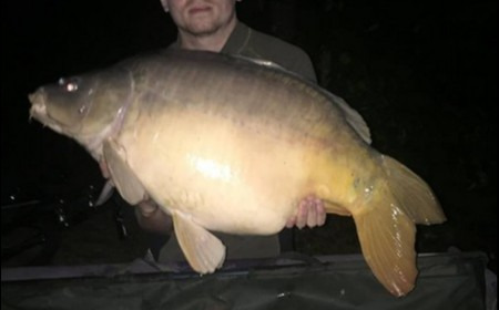A 35 lb 9 oz carp from Lillybelle, Jack Easton, Sep 2018