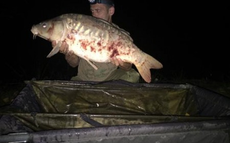 A 21 lb carp from Lillybelle, Kevin Holbrook, Aug 2017