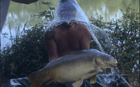 A 35 lb carp from Lillybelle, Chad Hand, Aug 2018