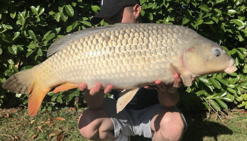 A 26 lb carp from Lillybelle, Owen Edwards, Sep 2017