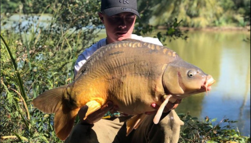 A 23 lb carp from Lillybelle, Owen Edwards, Sep 2018