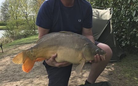 A 30 lb 5 oz carp from Lillybelle, Mark, Apr 2017
