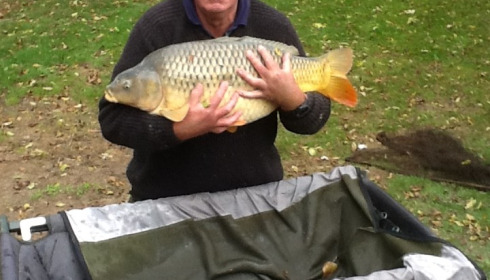A 29 lb carp from Lillybelle, Tom Jones, Oct 2015