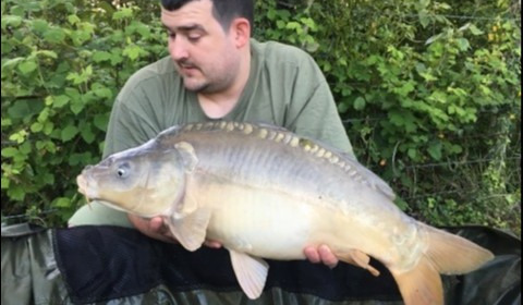 A carp from Lillybelle, Aaron Taylor-Biggs, May 2019