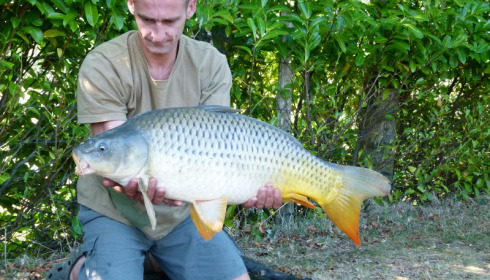 A carp from Lillybelle, Kevin Holbrook, Sep 2014