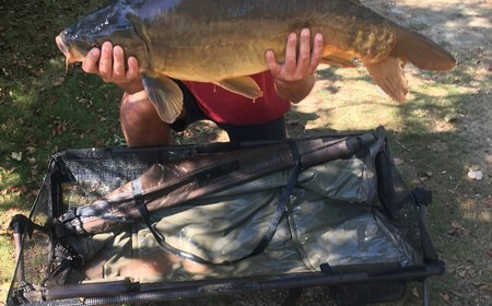 A 31 lb 8 oz carp from Lillybelle, Richard Barnes, Aug 2016
