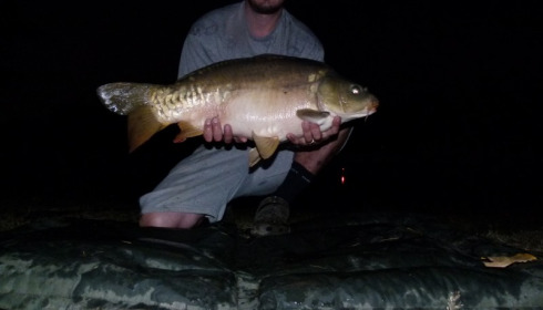 A carp from Lillybelle, Dave Taylor, Sep 2014