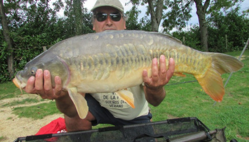 A 24 lb 8 oz carp from Lillybelle, Richard Barnes, Sep 2015