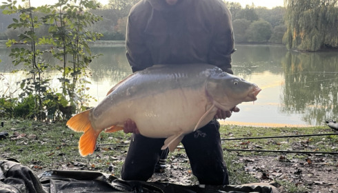 A 47 lb fish from Lillybelle, Shaun Parlour, Nov 2022