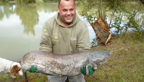 A 40 lb catfish from Lillybelle, Stocking, Oct 2014