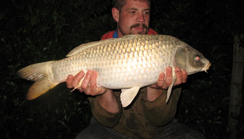 A carp from Lillybelle, Thomas Hocking, Sep 2015