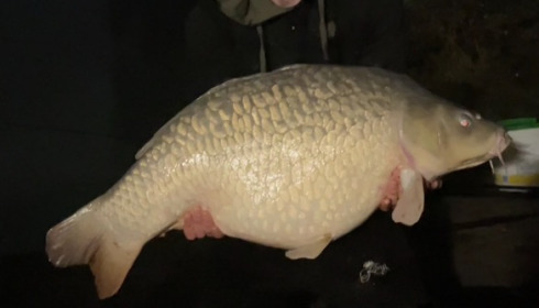 A 41 lb fish from Lillybelle, Shaun Parlour, Nov 2022