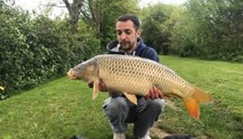 A carp from Lillybelle, Dean Avanesian, May 2018