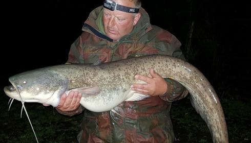 A 29 lb 4 oz catfish from Lillybelle, Marko Kew, Sep 2017