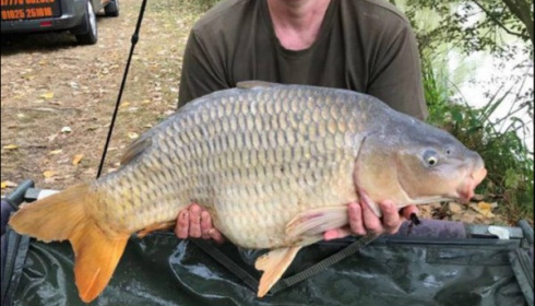 A 27 lb 8 oz carp from Lillybelle, Martin Leadbetter, Sep 2018