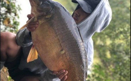 A 23 lb 8 oz carp from Lillybelle, Wes Bolt, Sep 2018