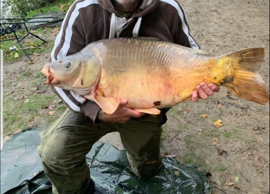 A carp from Lillybelle, Paul Farrow, Oct 2019