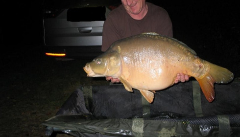 A 31 lb carp from Lillybelle, Merv Oakenfull, Nov 2015