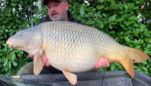 A 27 lb carp from Lillybelle, Wayne Hockley, Oct 2019