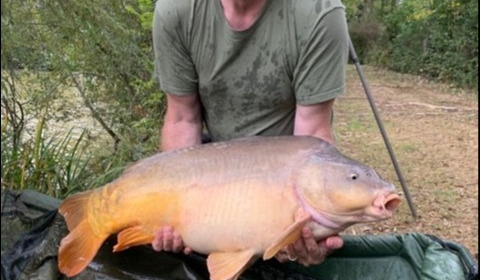 A 37 lb 1 oz carp from Lillybelle, Adrian Wake, Sep 2019