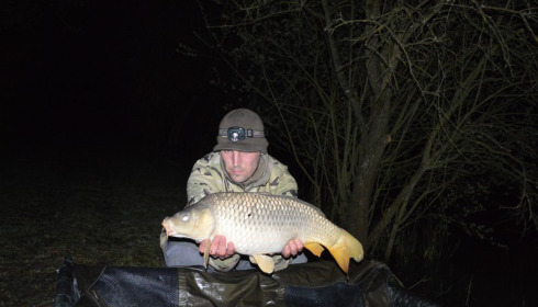 A carp from Lillybelle, Tom Berrisford, Apr 2016